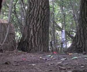 Plassende vrouwen in het bos die stiekem gefilmd worden.Plassende vrouwen in het bos die stiekem gefilmd worden 
